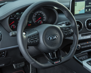 Kia Stinger blue details  (11)